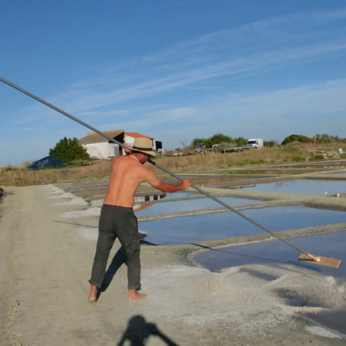 Fleur de Sel de l'île de Ré - 20g